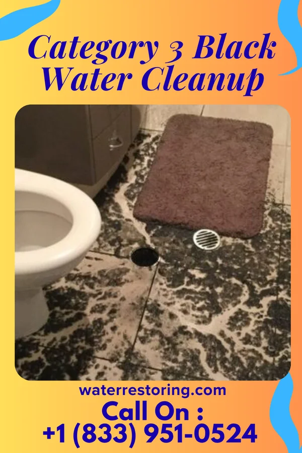 Category 3 Black Water Cleanup in Aberdeen, NC